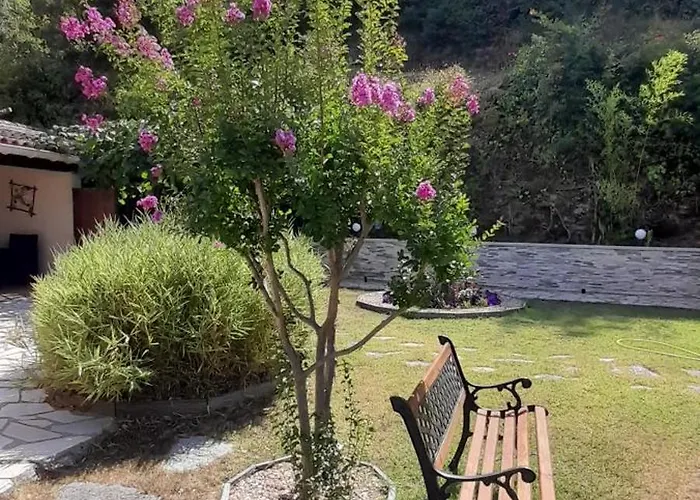 Les Hauts De Cabanoule - Amous -