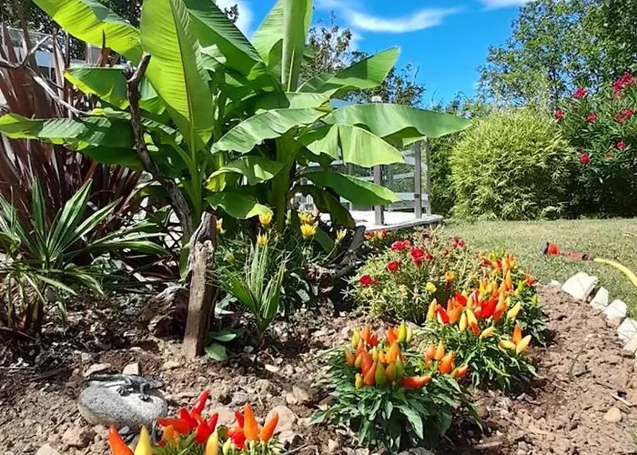 Les Hauts De Cabanoule - Amous - 아파트 Generargues
