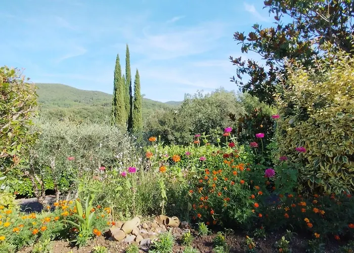 アパート Les Hauts De Cabanoule - Amous - *